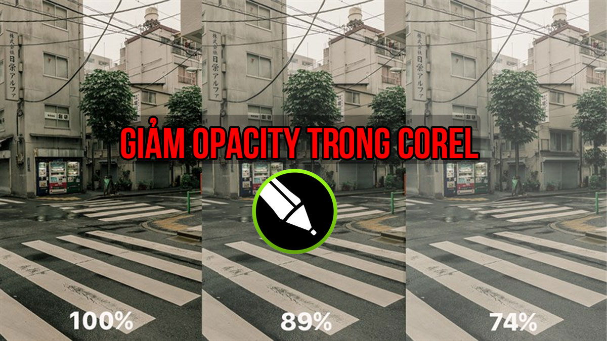 Hướng dẫn giảm opacity trong Corel chi tiết cho người mới